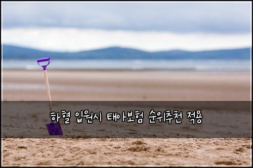 하혈 입원시 태아보험 순위추천  적용