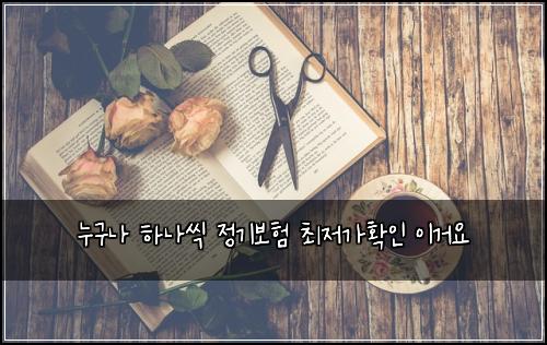 누구나 하나씩 정기보험 최저가확인  이거요
