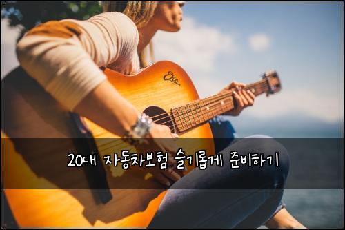 20대 자동차보험 슬기롭게 준비하기