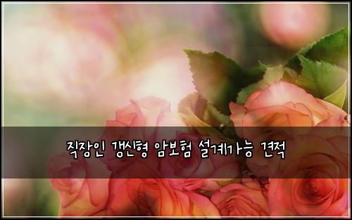 ์ง์ฅ์ธ ๊ฐฑ์ ํ ์๋ณดํ ์ค๊ณ๊ฐ๋ฅ ๊ฒฌ์ 