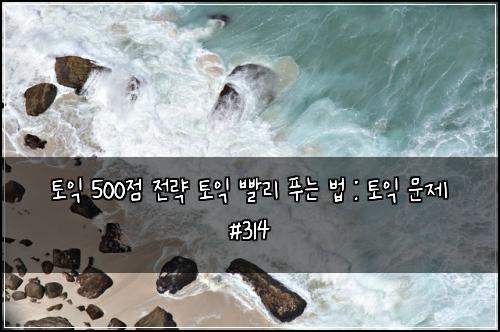 토익 500점 전략 토익 빨리 푸는 법 : 토익 문제 #314