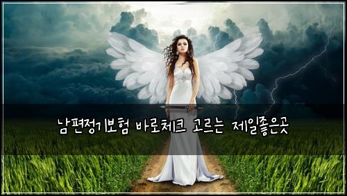 남편정기보험 바로체크  고르는 제일좋은곳