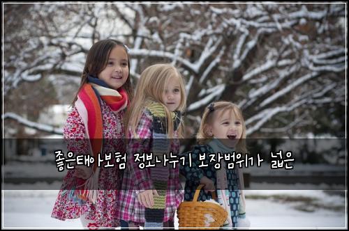 좋은태아보험 정보나누기  보장범위가 넓은