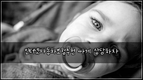 ์ธํฐ๋ท์๋์ฐจ๋ณดํ์ถ์ฒ ์ธ๊ฒ ์๋ดํ์