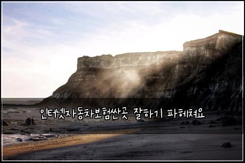 인터넷자동차보험싼곳 잘하기 파헤쳐요