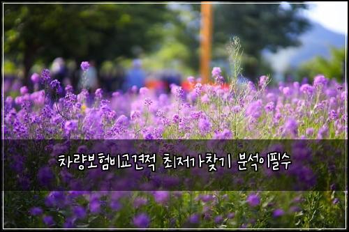 차량보험비교견적 최저가찾기 분석이필수