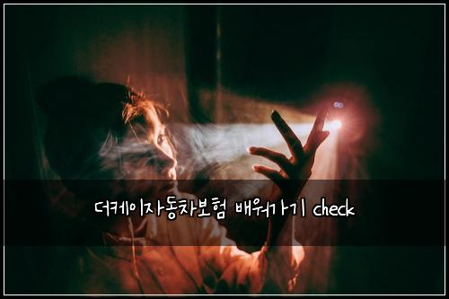 더케이자동차보험 배워가기  check