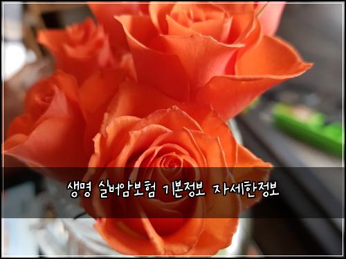 생명 실버암보험 기본정보  자세한정보