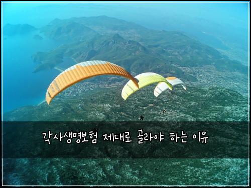 각사생명보험 제대로 골라야 하는 이유