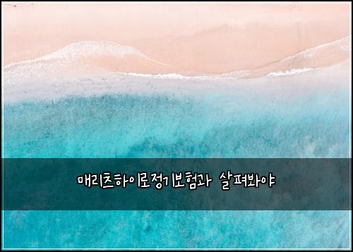 매리츠하이로정기보험과 살펴봐야