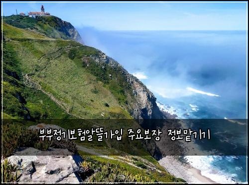 부부정기보험알뜰가입 주요보장 정보맡기기
