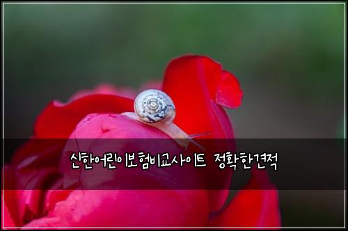 신한어린이보험비교사이트 정확한견적