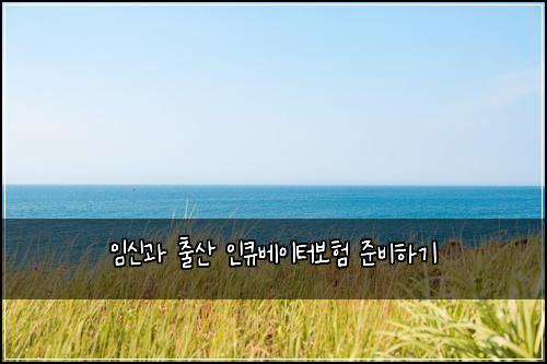임신과 출산 인큐베이터보험 준비하기