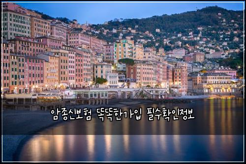 암종신보험 똑똑한가입  필수확인정보