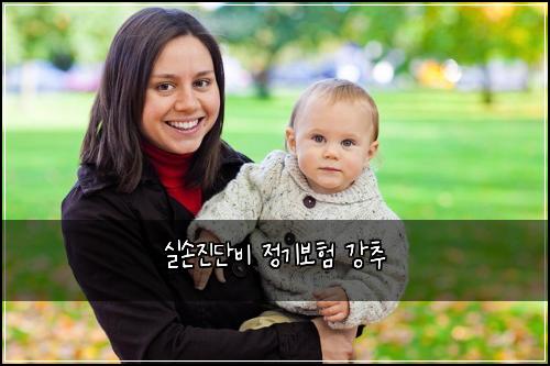 실손진단비 정기보험 강추 