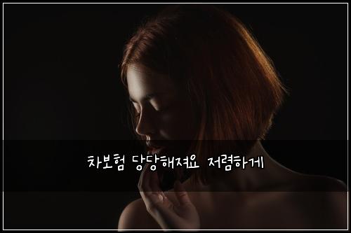 ์ฐจ๋ณดํ ๋น๋นํด์ ธ์ ์ ๋ ดํ๊ฒ