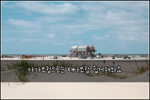 아가보험으로는 태아보험 쉽게해봐요