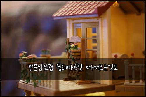 전문암보험 쉽고빠르닷  따져보는것도
