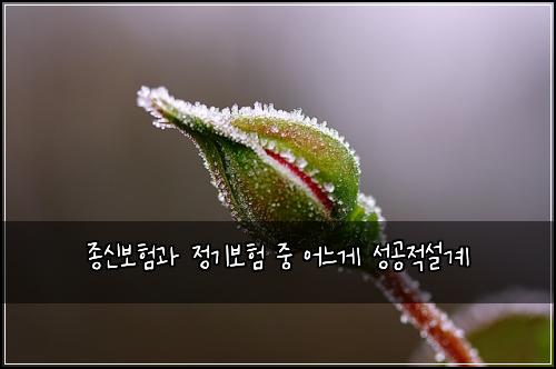 ์ข
์ ๋ณดํ๊ณผ ์ ๊ธฐ๋ณดํ ์ค ์ด๋๊ฒ ์ฑ๊ณต์ ์ค๊ณ