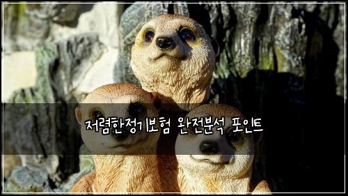 ์ ๋ ดํ์ ๊ธฐ๋ณดํ ์์ ๋ถ์ ํฌ์ธํธ
