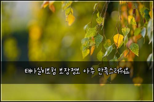 태아실비보험 보장정보  아주 만족스러워요