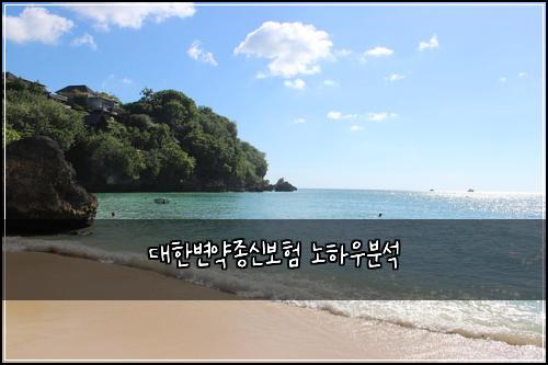 ๋ํ๋ณ์ฝ์ข
์ ๋ณดํ ๋
ธํ์ฐ๋ถ์