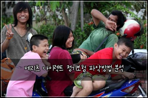 메리츠 다이렉트 정기보험 파악방법  분석