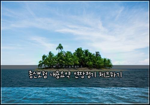 종신보험 내용요약  연장정기 체크하기