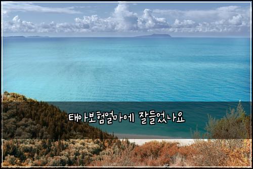 태아보험얼마에 잘들었나요