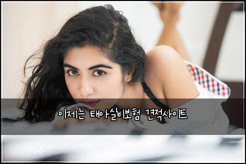 ์ด์ ๋ ํ์์ค๋น๋ณดํ ๊ฒฌ์ ์ฌ์ดํธ