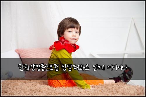 한화생명종신보험 상담해봐요  언제 어디서나