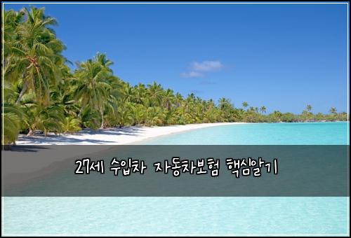 27์ธ ์์
์ฐจ ์๋์ฐจ๋ณดํ ํต์ฌ์๊ธฐ