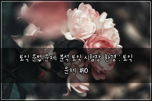토익 문법 문제 분석 토익 시험장 환경 : 토익 문제 #10