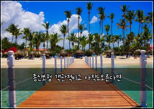 종신보험 객관적비교  아직도모른다면