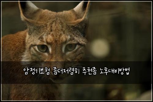 ์์ ๊ธฐ๋ณดํ ์ข๋์ ๋ ดํ ์ถ์ฒ์ข ๋
ธํ๋๋น๋ฐฉ๋ฒ