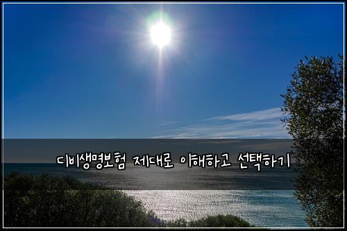 디비생명보험 제대로 이해하고 선택하기