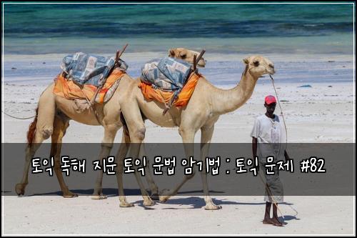토익 독해 지문 토익 문법 암기법 : 토익 문제 #82