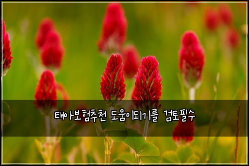 태아보험추천 도움이되기를 검토필수