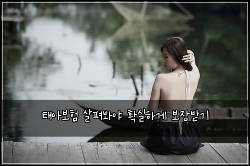 ํ์๋ณดํ ์ดํด๋ด์ผ ํ์คํ๊ฒ ๋ณด์ฅ๋ฐ๊ธฐ
