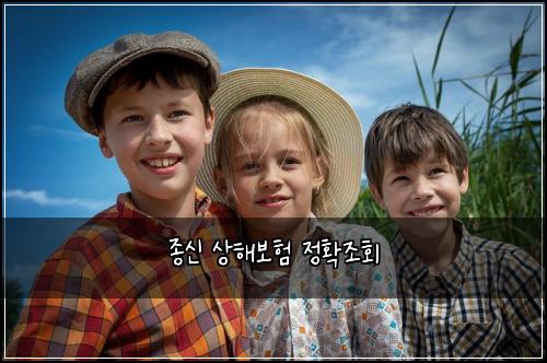 종신 상해보험 정확조회 