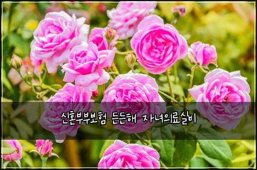 신혼부부보험 든든해  자녀의료실비