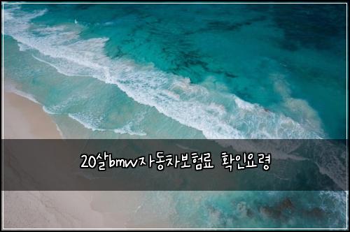 20살bmw자동차보험료 확인요령
