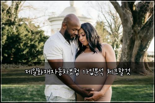 제일화재자동차보험 가입분석  체크할것