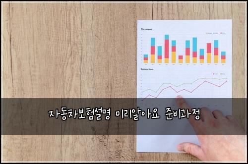 자동차보험설명 미리알아요 준비과정