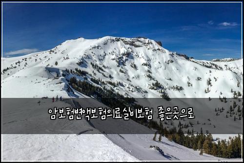 암보험변액보험의료실비보험 좋은곳으로