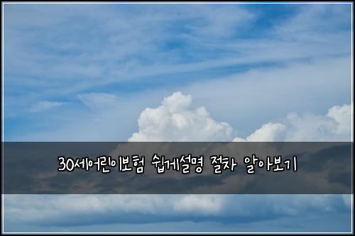 30μΈμ΄λ¦°μ΄λ³΄ν μ½κ²μ€λͺ
μ μ°¨ μμ보기