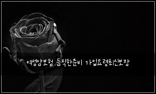 ์ฌ์ฑ์๋ณดํ ๋ฌ์งํ์ค๋น ๊ฐ์
์๋ น์ต์ ๋ณด์ฅ