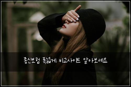 종신보험 폭넓게  비교사이트 알아보세요