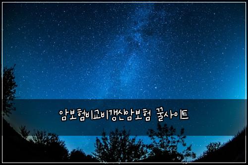 암보험비교비갱신암보험 꿀사이트