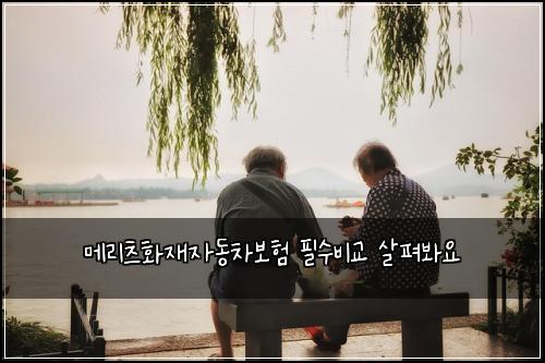 메리츠화재자동차보험 필수비교  살펴봐요